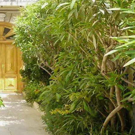 Barla 1 - A Cosy One Bedroom In דירה